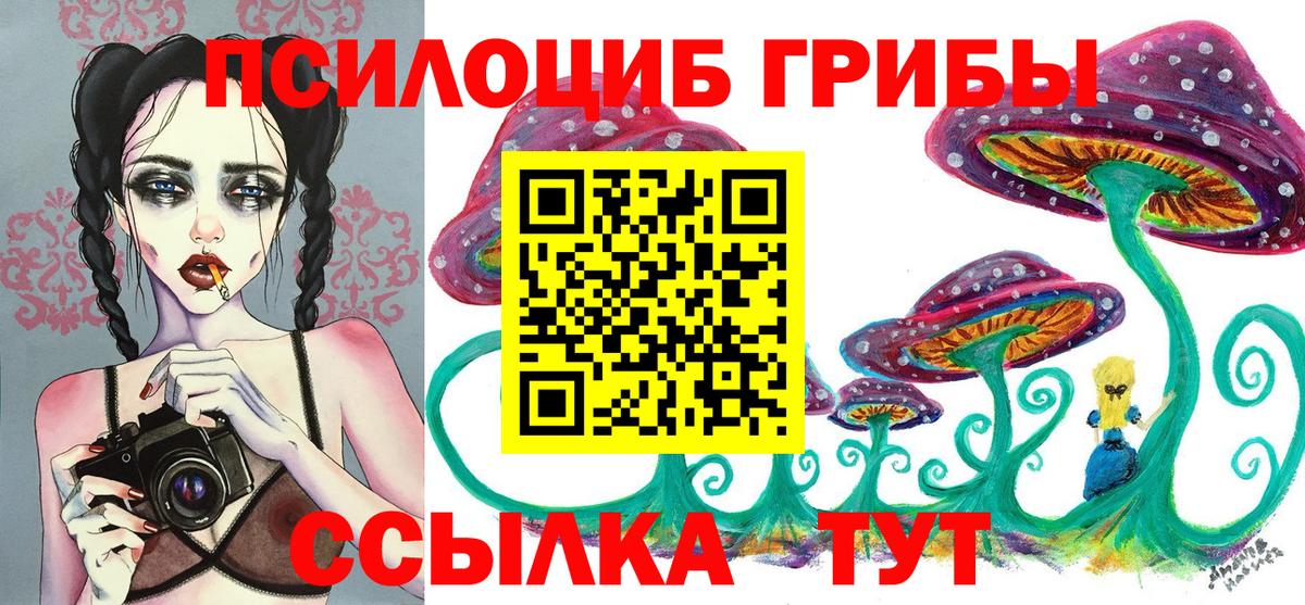 Псилоцибиновые грибы мицелий  Галлюциногенные грибы мицелий  Вход с VPN  Каменск-Шахтинский 