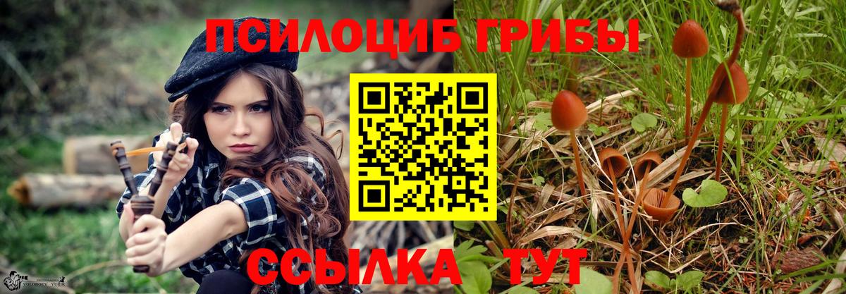 Галлюциногенные грибы MAGIC MUSHROOMS Каменск-Шахтинский